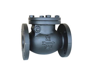 Check Valve